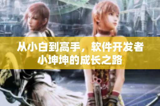 從小白到高手，軟件開發(fā)者小坤坤的成長之路
