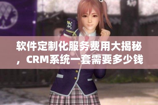 軟件定制化服務(wù)費(fèi)用大揭秘，CRM系統(tǒng)一套需要多少錢？