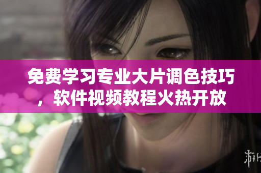 免費學(xué)習(xí)專業(yè)大片調(diào)色技巧，軟件視頻教程火熱開放