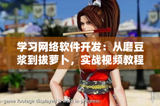 學習網絡軟件開發(fā)：從磨豆?jié){到拔蘿卜，實戰(zhàn)視頻教程！