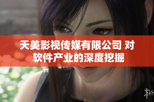 天美影視傳媒有限公司 對 軟件產(chǎn)業(yè)的深度挖掘