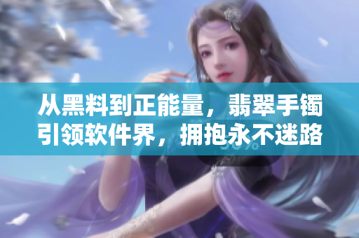 從黑料到正能量，翡翠手鐲引領(lǐng)軟件界，擁抱永不迷路之道