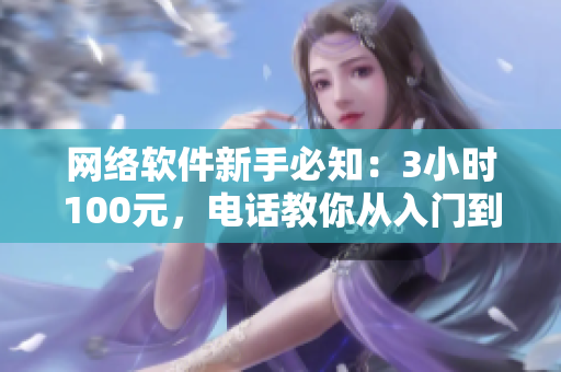 網(wǎng)絡(luò)軟件新手必知：3小時(shí)100元，電話教你從入門(mén)到精通！