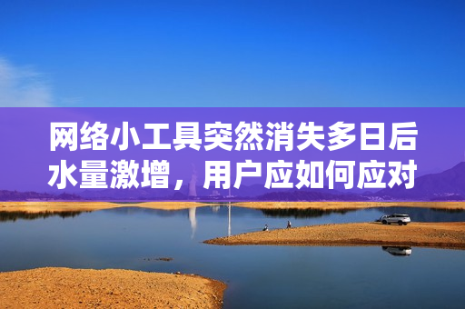 網(wǎng)絡小工具突然消失多日后水量激增，用戶應如何應對？