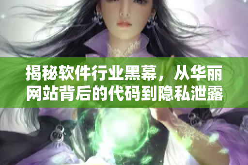揭秘軟件行業(yè)黑幕，從華麗網(wǎng)站背后的代碼到隱私泄露的真相