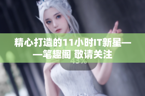 精心打造的11小時(shí)IT新星——筆趣閣 敬請關(guān)注