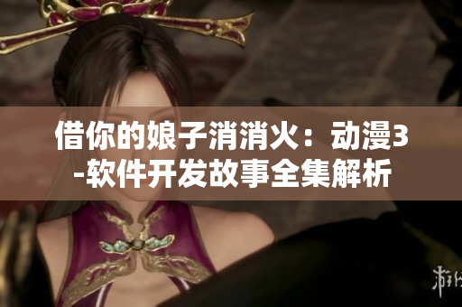 借你的娘子消消火：動漫3-軟件開發(fā)故事全集解析