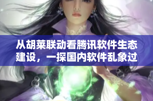 從胡萊聯(lián)動看騰訊軟件生態(tài)建設(shè)，一探國內(nèi)軟件亂象過往與未來。