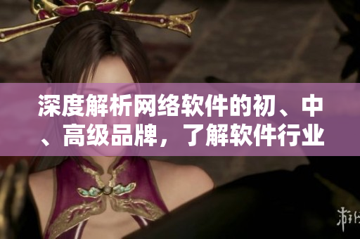 深度解析網(wǎng)絡(luò)軟件的初、中、高級(jí)品牌，了解軟件行業(yè)發(fā)展趨勢