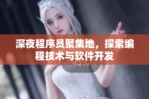 深夜程序員聚集地，探索編程技術(shù)與軟件開發(fā)