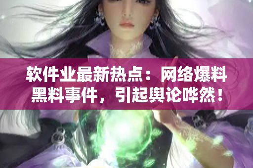 軟件業(yè)最新熱點：網(wǎng)絡(luò)爆料黑料事件，引起輿論嘩然！