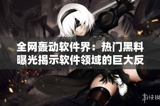 全網轟動軟件界：熱門黑料曝光揭示軟件領域的巨大反差差距