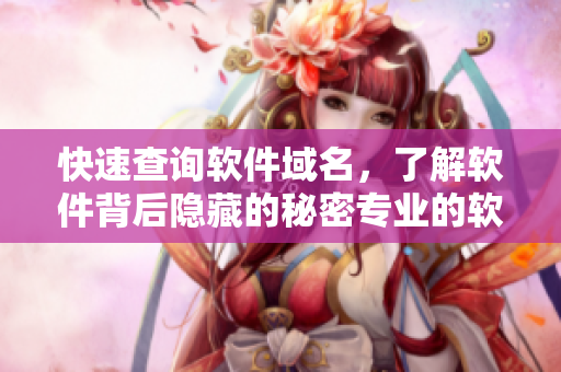 快速查詢軟件域名，了解軟件背后隱藏的秘密專業(yè)的軟件查詢工具