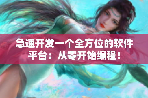 急速開發(fā)一個全方位的軟件平臺：從零開始編程！