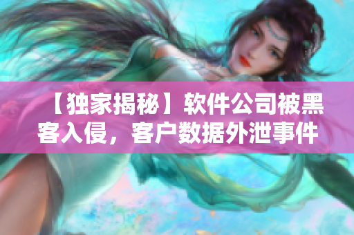 【獨(dú)家揭秘】軟件公司被黑客入侵，客戶數(shù)據(jù)外泄事件背后真相！