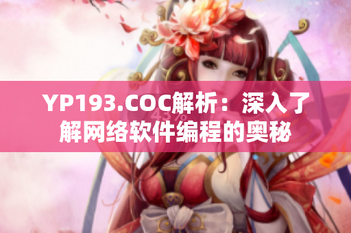 YP193.COC解析：深入了解網(wǎng)絡軟件編程的奧秘