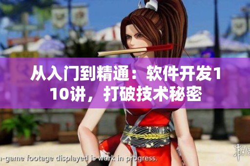 從入門到精通：軟件開發(fā)110講，打破技術秘密