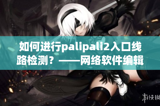 如何進(jìn)行palipali2入口線路檢測？——網(wǎng)絡(luò)軟件編輯教你檢測入口線路