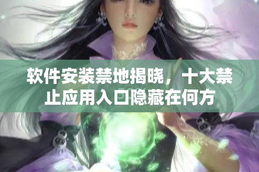 軟件安裝禁地揭曉，十大禁止應(yīng)用入口隱藏在何方