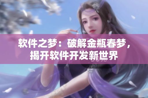 軟件之夢：破解金瓶春夢，揭開軟件開發(fā)新世界