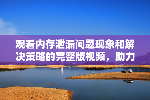 觀看內(nèi)存泄漏問題現(xiàn)象和解決策略的完整版視頻，助力企業(yè)軟件優(yōu)化