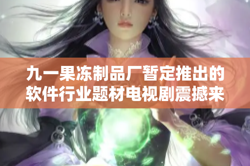 九一果凍制品廠暫定推出的軟件行業(yè)題材電視劇震撼來襲--《代碼之夢》