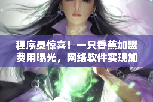 程序員驚喜！一只香蕉加盟費(fèi)用曝光，網(wǎng)絡(luò)軟件實(shí)現(xiàn)加盟輕松起步