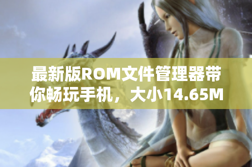 最新版ROM文件管理器帶你暢玩手機(jī)，大小14.65MB