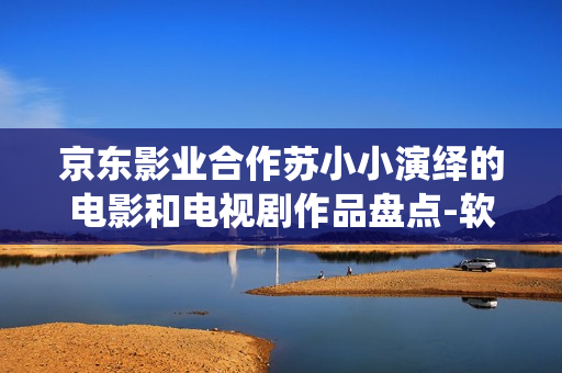 京東影業(yè)合作蘇小小演繹的電影和電視劇作品盤點-軟件技術全方位解析