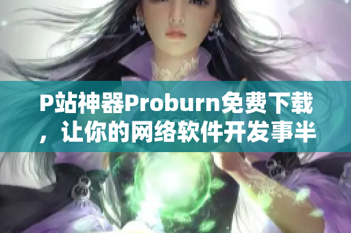 P站神器Proburn免費(fèi)下載，讓你的網(wǎng)絡(luò)軟件開(kāi)發(fā)事半功倍