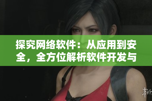 探究網(wǎng)絡(luò)軟件：從應(yīng)用到安全，全方位解析軟件開(kāi)發(fā)與維護(hù)