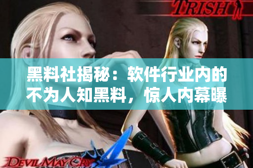 黑料社揭秘：軟件行業(yè)內的不為人知黑料，驚人內幕曝光！