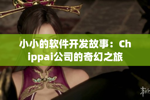 小小的軟件開(kāi)發(fā)故事：Chippai公司的奇幻之旅