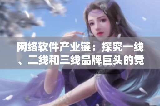 網(wǎng)絡軟件產(chǎn)業(yè)鏈：探究一線、二線和三線品牌巨頭的競爭優(yōu)勢與未來趨勢