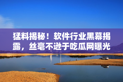 猛料揭秘！軟件行業(yè)黑幕揭露，絲毫不遜于吃瓜網(wǎng)曝光！