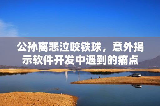 公孫離悲泣咬鐵球，意外揭示軟件開發(fā)中遇到的痛點(diǎn)