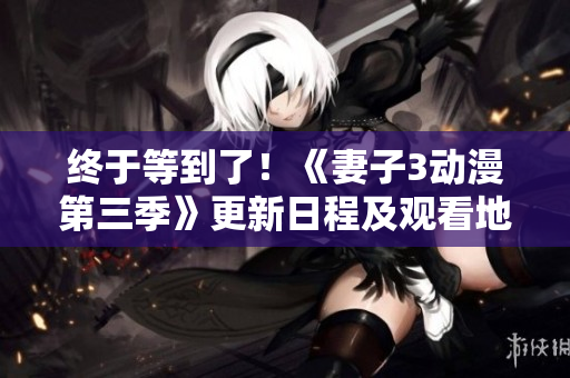 終于等到了！《妻子3動漫第三季》更新日程及觀看地址大揭秘！