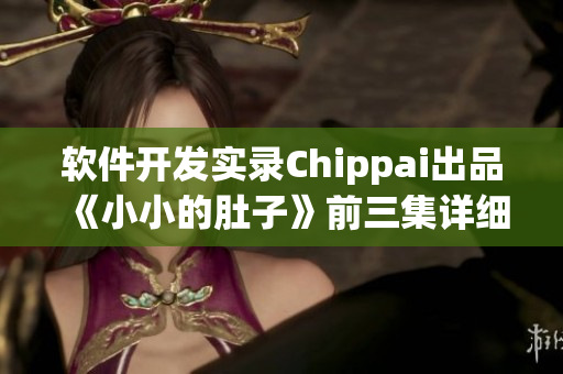 軟件開(kāi)發(fā)實(shí)錄Chippai出品《小小的肚子》前三集詳細(xì)解析