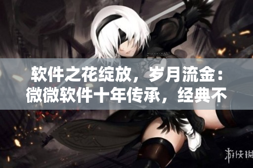 軟件之花綻放，歲月流金：微微軟件十年傳承，經(jīng)典不衰
