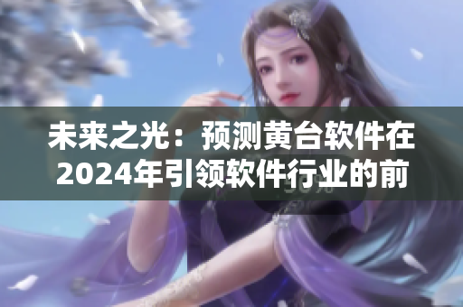 未來(lái)之光：預(yù)測(cè)黃臺(tái)軟件在2024年引領(lǐng)軟件行業(yè)的前沿地位