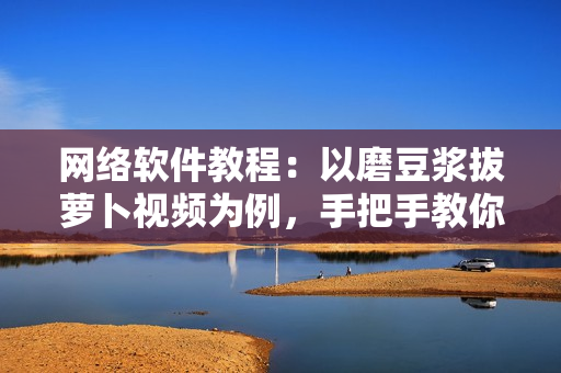 網(wǎng)絡(luò)軟件教程：以磨豆?jié){拔蘿卜視頻為例，手把手教你編寫高效軟件！
