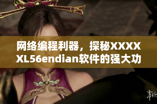 網(wǎng)絡(luò)編程利器，探秘XXXXXL56endian軟件的強(qiáng)大功能