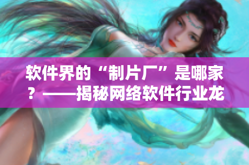 軟件界的“制片廠”是哪家？——揭秘網(wǎng)絡軟件行業(yè)龍頭公司