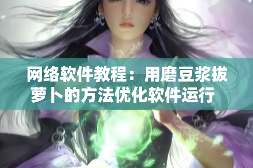 網(wǎng)絡(luò)軟件教程：用磨豆?jié){拔蘿卜的方法優(yōu)化軟件運行  視頻教學(xué)
