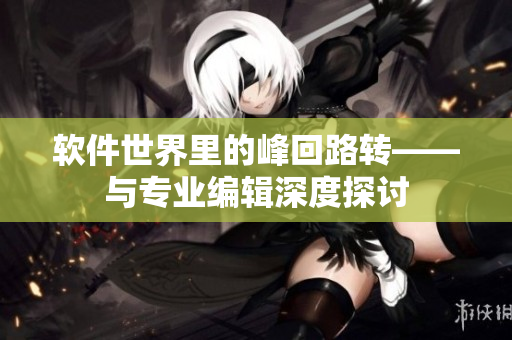 軟件世界里的峰回路轉(zhuǎn)——與專業(yè)編輯深度探討