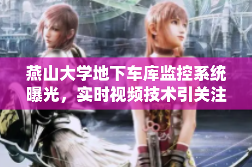 燕山大學(xué)地下車庫(kù)監(jiān)控系統(tǒng)曝光，實(shí)時(shí)視頻技術(shù)引關(guān)注