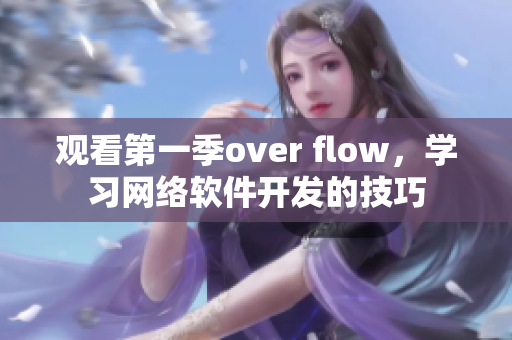 觀看第一季over flow，學(xué)習(xí)網(wǎng)絡(luò)軟件開發(fā)的技巧