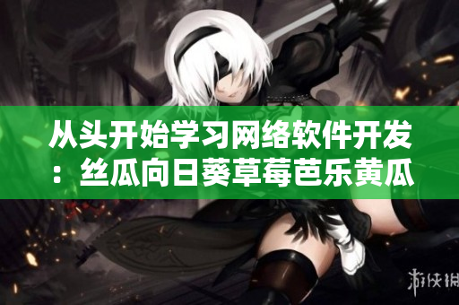 從頭開始學(xué)習(xí)網(wǎng)絡(luò)軟件開發(fā)：絲瓜向日葵草莓芭樂黃瓜為你提供指南