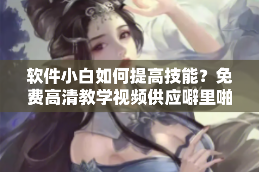 軟件小白如何提高技能？免費高清教學視頻供應噼里啪啦