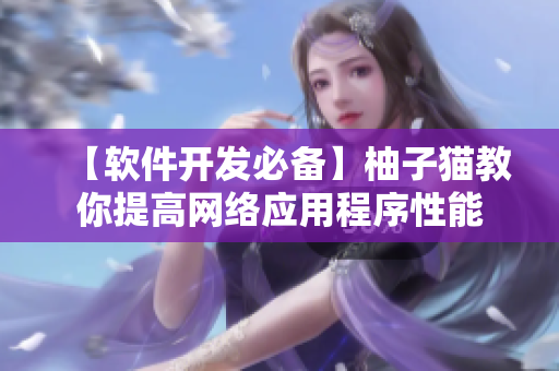 【軟件開發(fā)必備】柚子貓教你提高網(wǎng)絡(luò)應(yīng)用程序性能